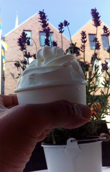 Susse Sunde Frozen Yoghurt, Waffeln & Co
